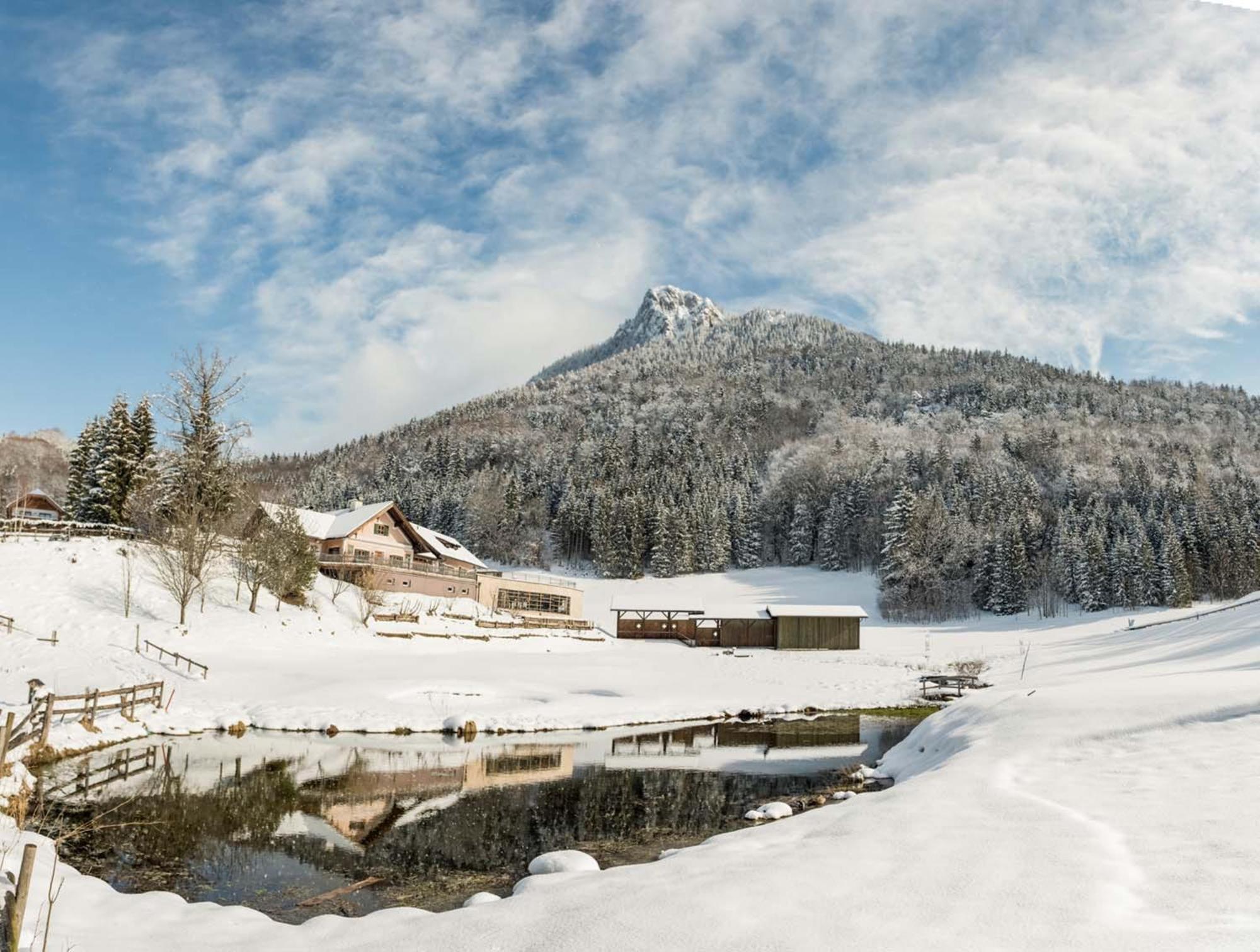 Waldhof Fuschlsee Resort Fuschl am See Exterior foto